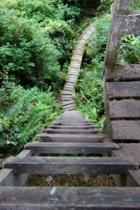 Leiter und Steg West Coast Trail