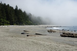 Carmanah Beach