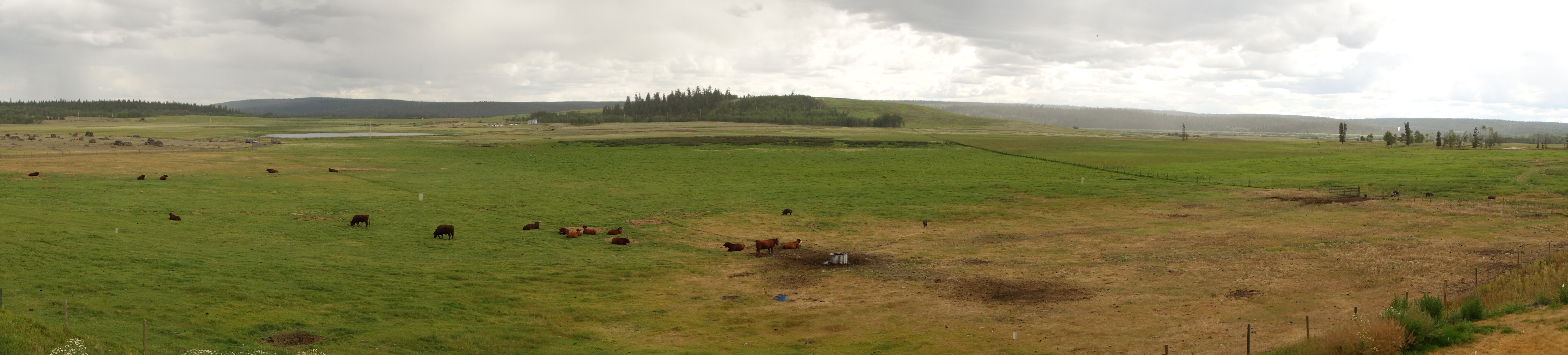 WWOOF-Ranch in Redstone BC
